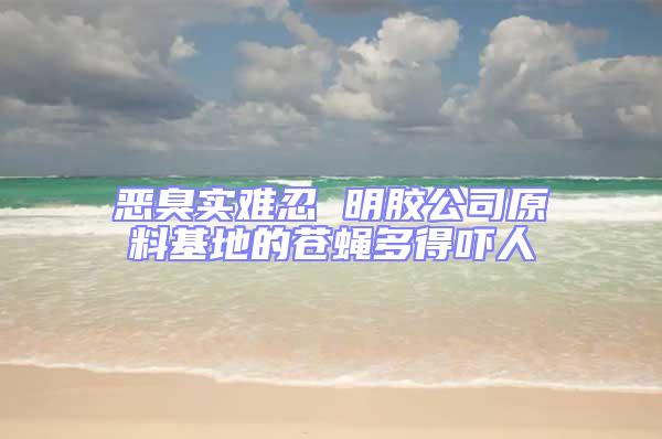 惡臭實(shí)難忍 明膠公司原料基地的蒼蠅多得嚇人