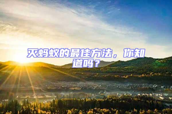 滅螞蟻的最佳方法,你知道嗎?