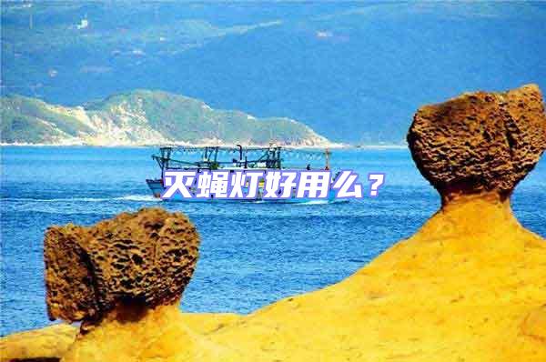 滅蠅燈好用么？