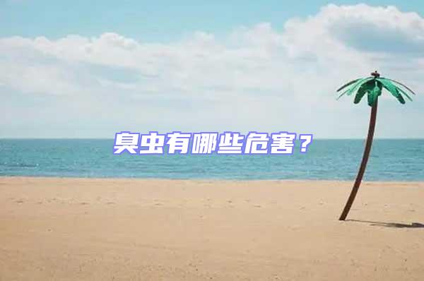 臭蟲有哪些危害？