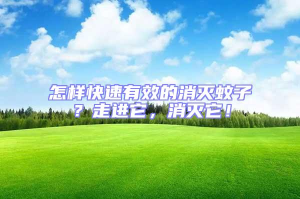 怎樣快速有效的消滅蚊子?走進它,消滅它!