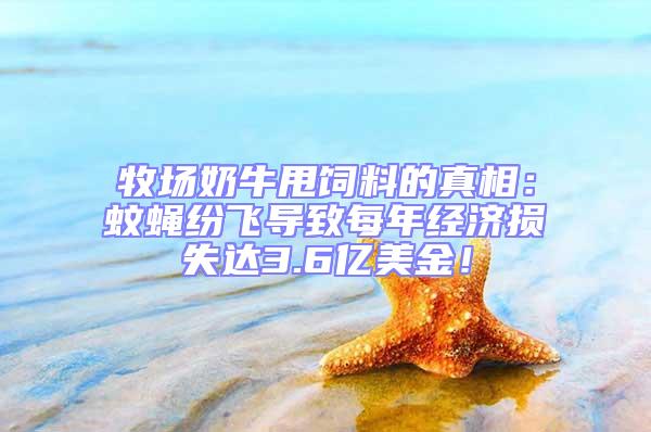 牧場(chǎng)奶牛甩飼料的真相:蚊蠅紛飛導(dǎo)致每年經(jīng)濟(jì)損失達(dá)3.6億美金!