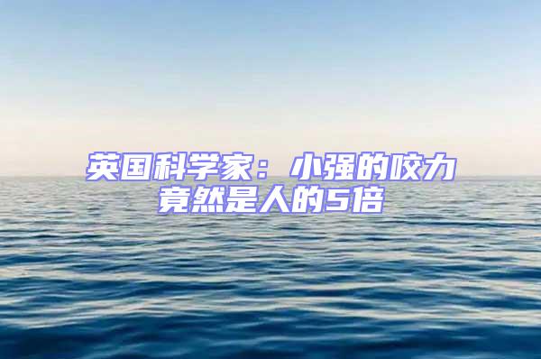 英國科學家:小強的咬力竟然是人的5倍