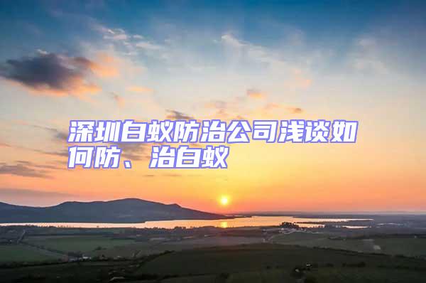 深圳白蟻防治公司淺談如何防、治白蟻