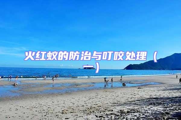 火紅蟻的防治與叮咬處理(一)