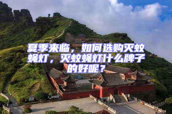 夏季來臨,如何選購滅蚊蠅燈,滅蚊蠅燈什么牌子的好呢?