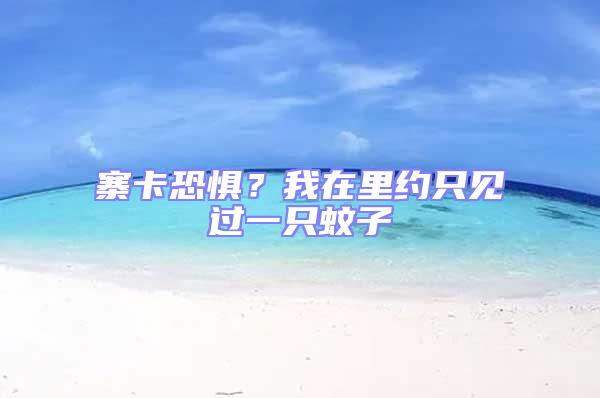 寨卡恐懼？我在里約只見過一只蚊子