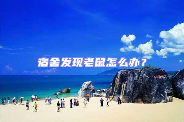 宿舍發(fā)現(xiàn)老鼠怎么辦?