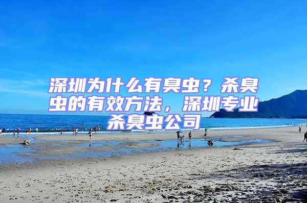 深圳為什么有臭蟲?殺臭蟲的有效方法,深圳專業殺臭蟲公司