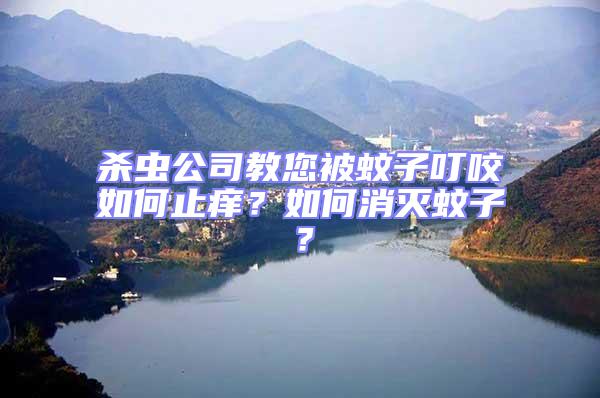 殺蟲公司教您被蚊子叮咬如何止癢?如何消滅蚊子?