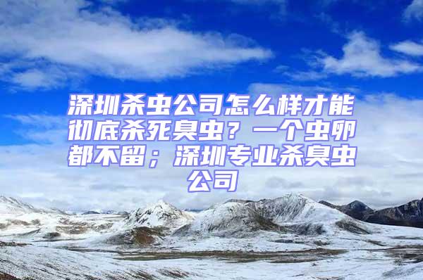 深圳殺蟲公司怎么樣才能徹底殺死臭蟲？一個蟲卵都不留；深圳專業殺臭蟲公司