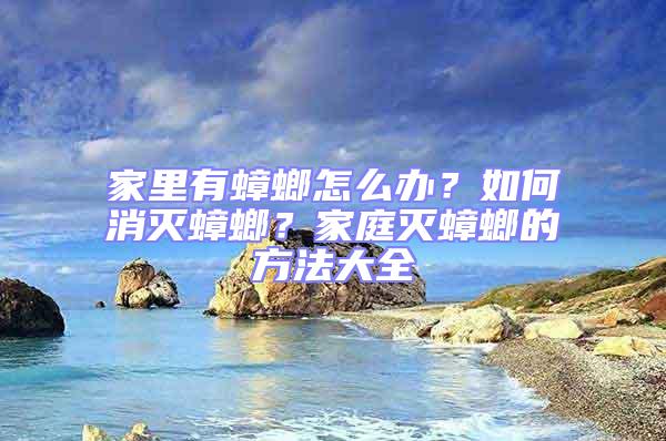 家里有蟑螂怎么辦？如何消滅蟑螂？家庭滅蟑螂的方法大全