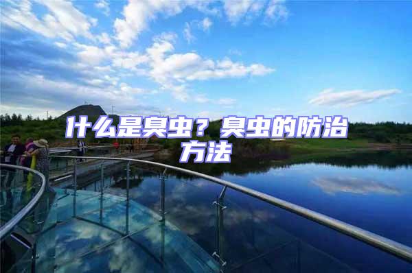 什么是臭蟲?臭蟲的防治方法
