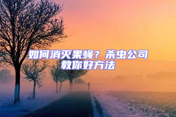 如何消滅果蠅?殺蟲公司教你好方法