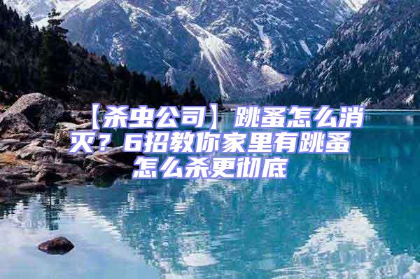 【殺蟲公司】跳蚤怎么消滅?6招教你家里有跳蚤怎么殺更徹底