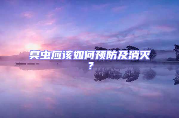 臭蟲應該如何預防及消滅?