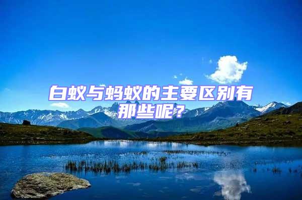 白蟻與螞蟻的主要區別有那些呢？