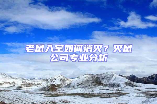 老鼠入室如何消滅?滅鼠公司專業(yè)分析