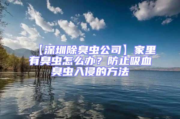 【深圳除臭蟲公司】家里有臭蟲怎么辦?防止吸血臭蟲入侵的方法