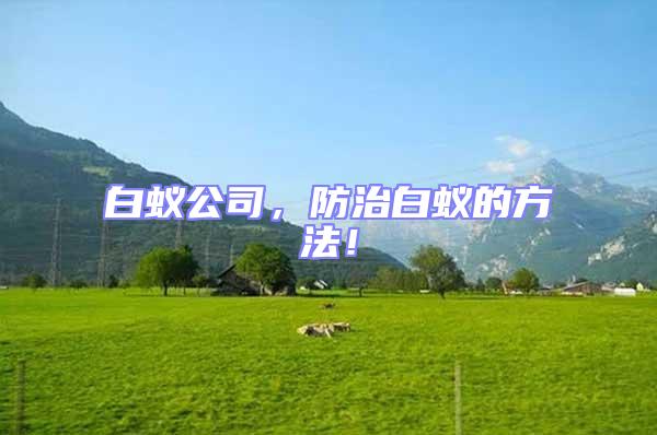 白蟻公司，防治白蟻的方法！