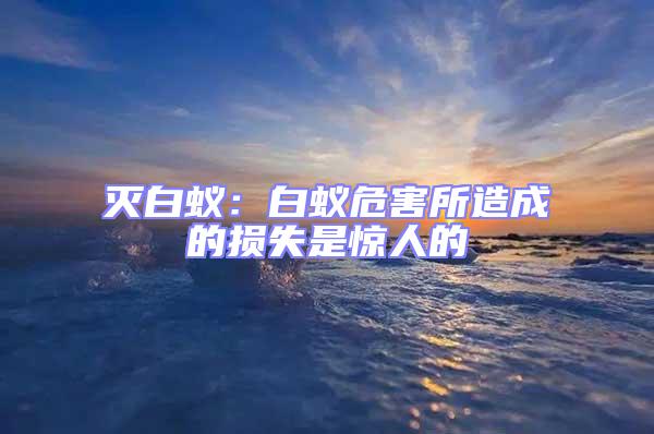 滅白蟻:白蟻危害所造成的損失是驚人的
