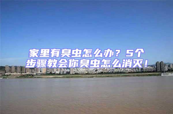 家里有臭蟲(chóng)怎么辦?5個(gè)步驟教會(huì)你臭蟲(chóng)怎么消滅!