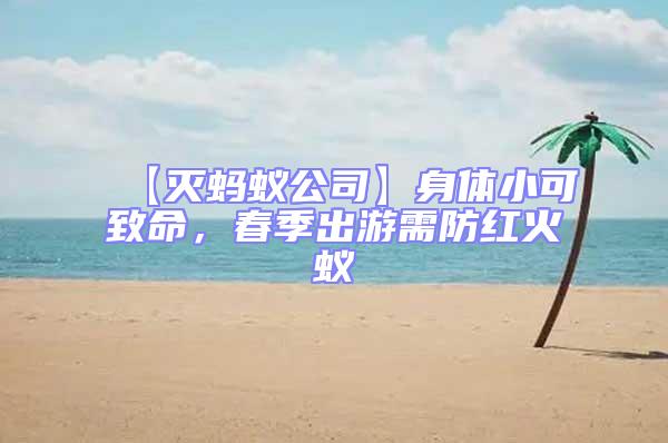 【滅螞蟻公司】身體小可致命，春季出游需防紅火蟻