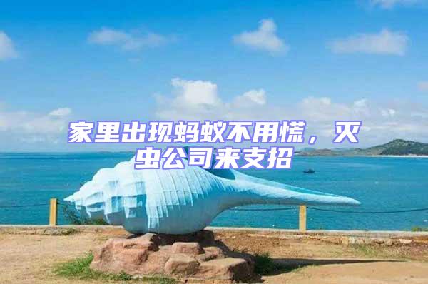 家里出現螞蟻不用慌,滅蟲公司來支招