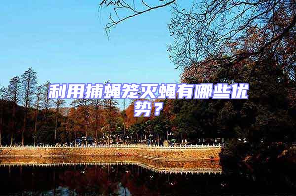 利用捕蠅籠滅蠅有哪些優勢?