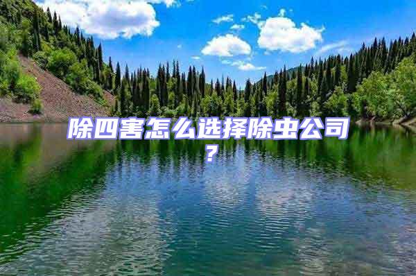 除四害怎么選擇除蟲公司？