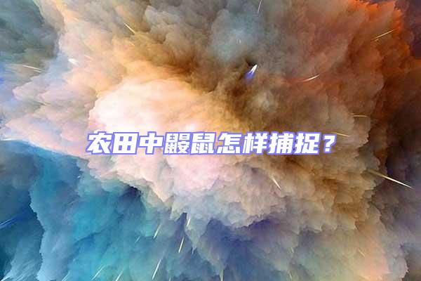 農(nóng)田中鼴鼠怎樣捕捉?