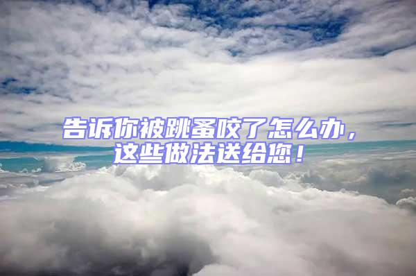 告訴你被跳蚤咬了怎么辦,這些做法送給您!