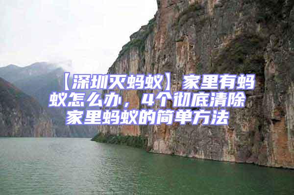【深圳滅螞蟻】家里有螞蟻怎么辦,4個徹底清除家里螞蟻的簡單方法