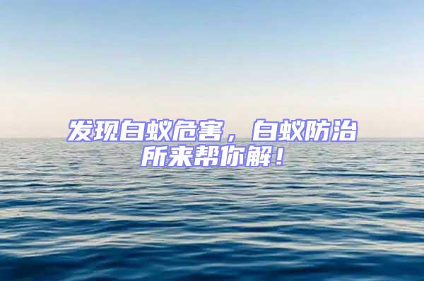 發現白蟻危害,白蟻防治所來幫你解!