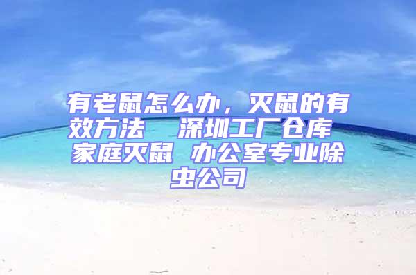 有老鼠怎么辦,滅鼠的有效方法  深圳工廠倉庫 家庭滅鼠 辦公室專業除蟲公司