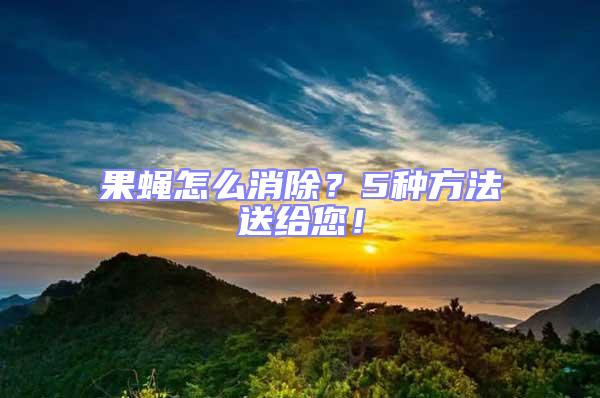 果蠅怎么消除?5種方法送給您!