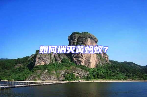 如何消滅黃螞蟻？