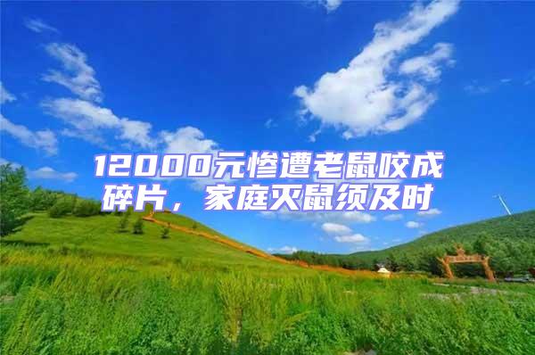 12000元慘遭老鼠咬成碎片,家庭滅鼠須及時(shí)