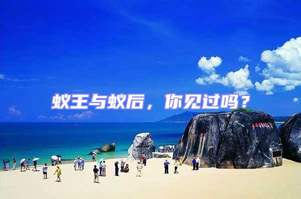 蟻王與蟻后,你見過嗎?