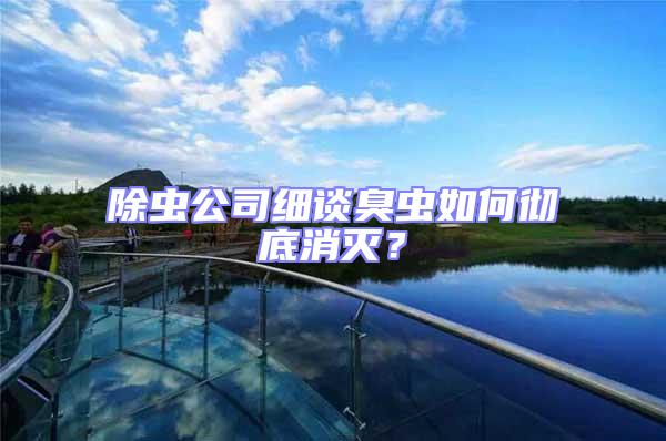 除蟲公司細談臭蟲如何徹底消滅?