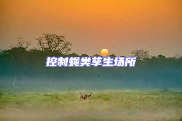 控制蠅類(lèi)孳生場(chǎng)所