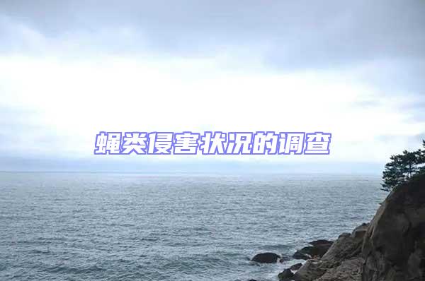 蠅類(lèi)侵害狀況的調(diào)查