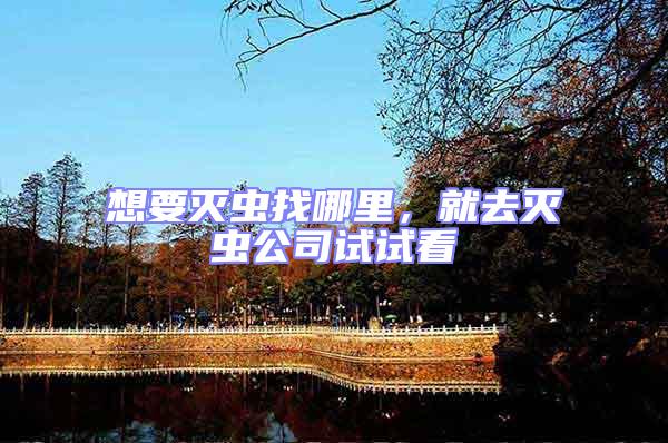 想要滅蟲找哪里,就去滅蟲公司試試看