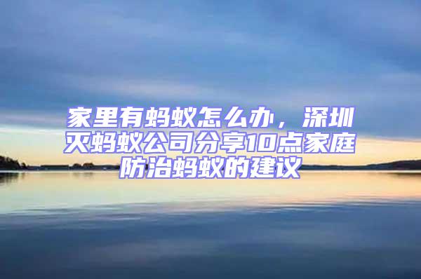 家里有螞蟻怎么辦,深圳滅螞蟻公司分享10點家庭防治螞蟻的建議