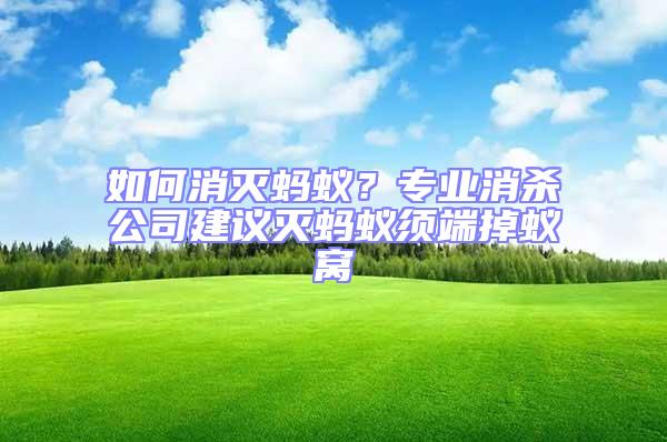 如何消滅螞蟻?專業消殺公司建議滅螞蟻須端掉蟻窩
