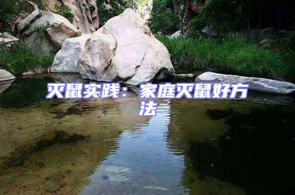 滅鼠實踐:家庭滅鼠好方法