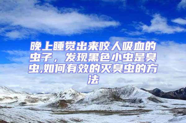 晚上睡覺出來咬人吸血的蟲子,發現黑色小蟲是臭蟲,如何有效的滅臭蟲的方法
