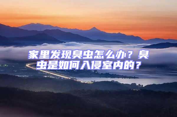 家里發現臭蟲怎么辦?臭蟲是如何入侵室內的?