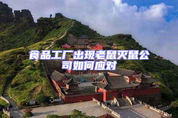 食品工廠出現(xiàn)老鼠滅鼠公司如何應(yīng)對