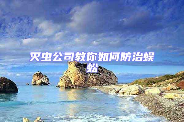 滅蟲(chóng)公司教你如何防治蜈蚣